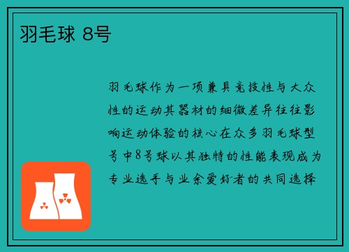 羽毛球 8号